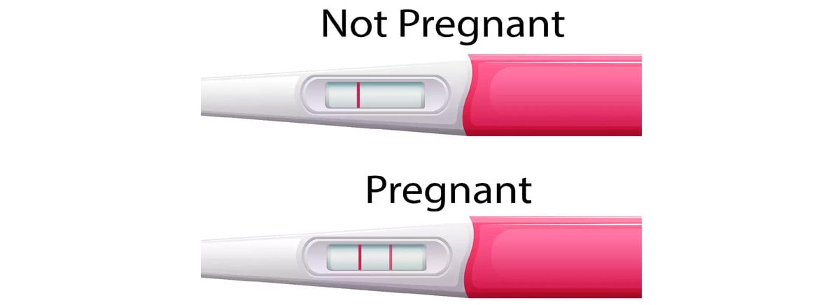 pregnancy test kit