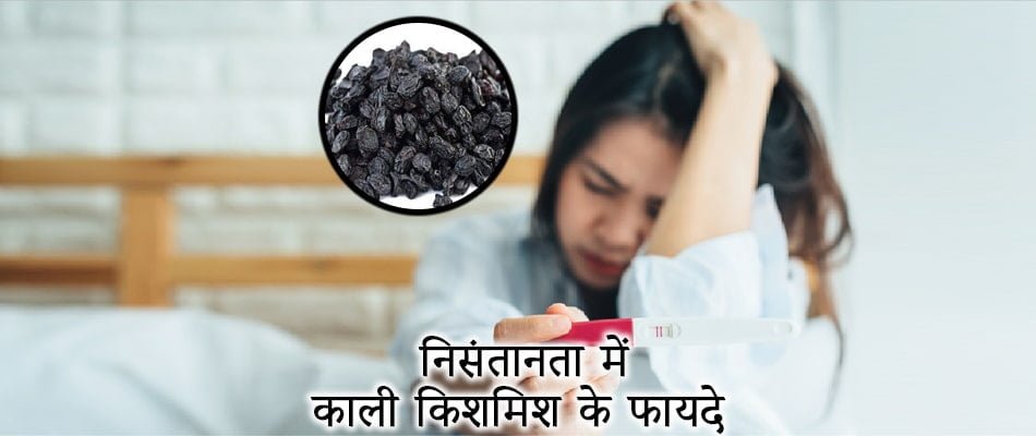 काली किशमिश से करें नि:संतानता दूर - काली किशमिश के फायदे